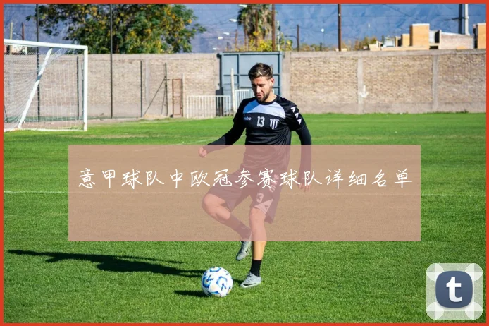 意甲球队中欧冠参赛球队详细名单