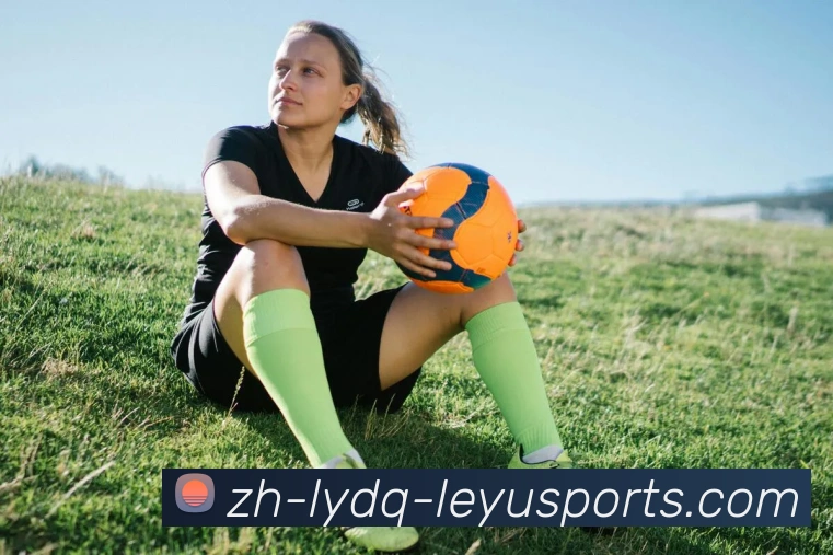 乐鱼体育平台生态图