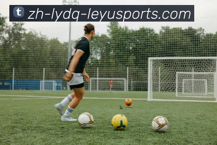 乐鱼体育全站App 乐鱼体育全站App